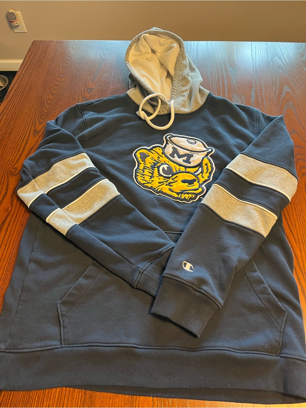 University of Michigan Champion Hoodie